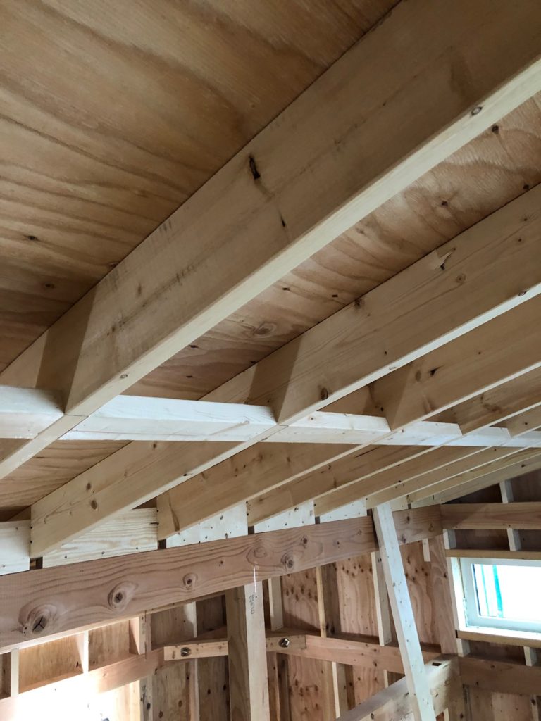 屋根構造垂木 206材 状況